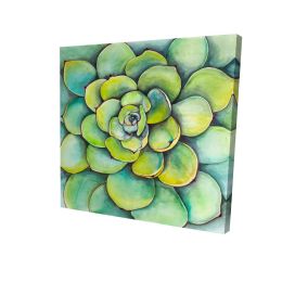 Watercolor succulent plant - 12x12 Print on canvas