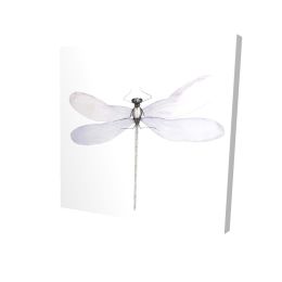 Delicate dragonfly - 12x12 Print on canvas