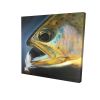 Golden trout with fly fishing flie - 12x12 Print on canvas