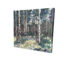 Birches - 12x12 Print on canvas