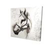 Flicka the white horse - 08x08 Print on canvas