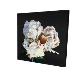 Blooming peonies - 08x08 Print on canvas