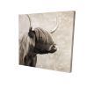 Beautiful highland cattle sepia - 08x08 Print on canvas