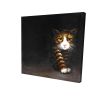 Discreet cat - 32x32 Print on canvas