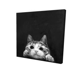 Curious cat - 32x32 Print on canvas