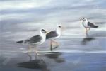 Three gulls - 20x30 Print on canvas