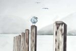 Seagull at the marina - 20x30 Print on canvas