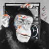 Monkey listening to radio - 08x08 Print on canvas