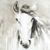 Beautiful abstract horse - 08x08 Print on canvas