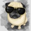 Pug with style - 08x08 Print on canvas