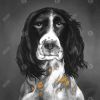 Beautiful english springer spaniel - 08x08 Print on canvas