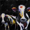 Two funny cows - 08x08 Print on canvas