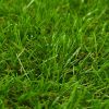 vidaXL Artificial Grass 4.4'x32.8'/1.6" Green