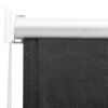 vidaXL Outdoor Roller Blind 31.5"x55.1" Anthracite