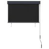 vidaXL Outdoor Roller Blind 39.4"x98.4" Anthracite