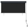 vidaXL Outdoor Roller Blind 55.1"x98.4" Anthracite