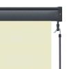 vidaXL Outdoor Roller Blind 47.2"x98.4" Cream