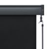 vidaXL Outdoor Roller Blind 47.2"x98.4" Anthracite