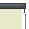 vidaXL Outdoor Roller Blind 39.4"x98.4" Cream