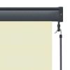 vidaXL Outdoor Roller Blind 31.5"x98.4" Cream