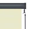 vidaXL Outdoor Roller Blind 66.9"x98.4" Cream