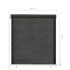 vidaXL Outdoor Roller Blind 23.6"x55.1" Anthracite