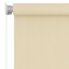 vidaXL Outdoor Roller Blind Cream 23.6"x55.1" HDPE