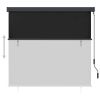 vidaXL Outdoor Roller Blind 63"x98.4" Anthracite