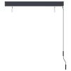 vidaXL Outdoor Roller Blind 47.2"x98.4" Anthracite