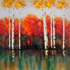 Birches by fall - 32x32 Print on canvas