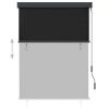 vidaXL Outdoor Roller Blind 47.2"x98.4" Anthracite