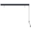 vidaXL Outdoor Roller Blind 63"x98.4" Anthracite