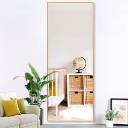 Modern Full Length Mirror, 65" x 22"x 1.2" (Color: Gold, Material: Aluminum alloy)